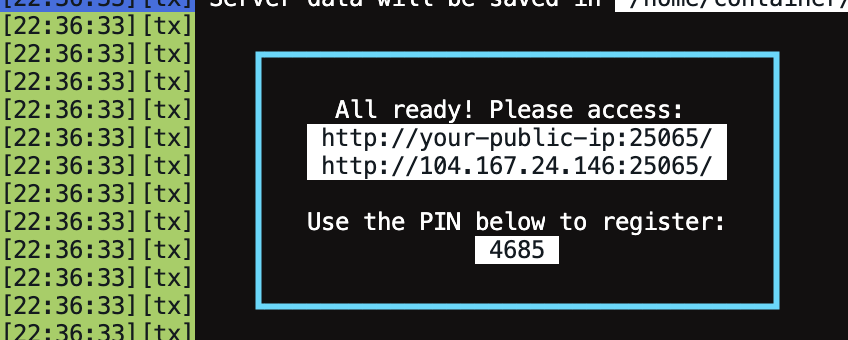 Console – box with txAdmin URL and PIN code 4685